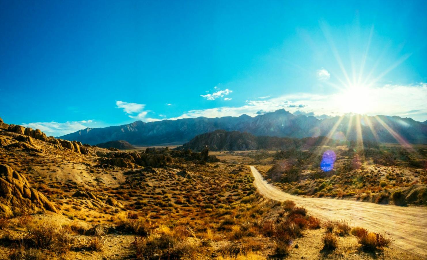 Командная работа и профессиональное развитие